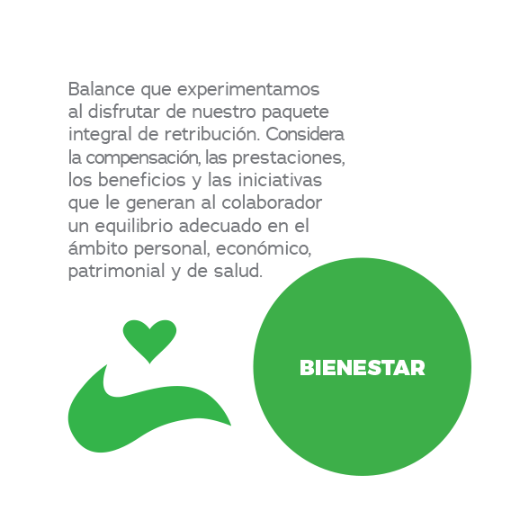 ng-icono-7-1