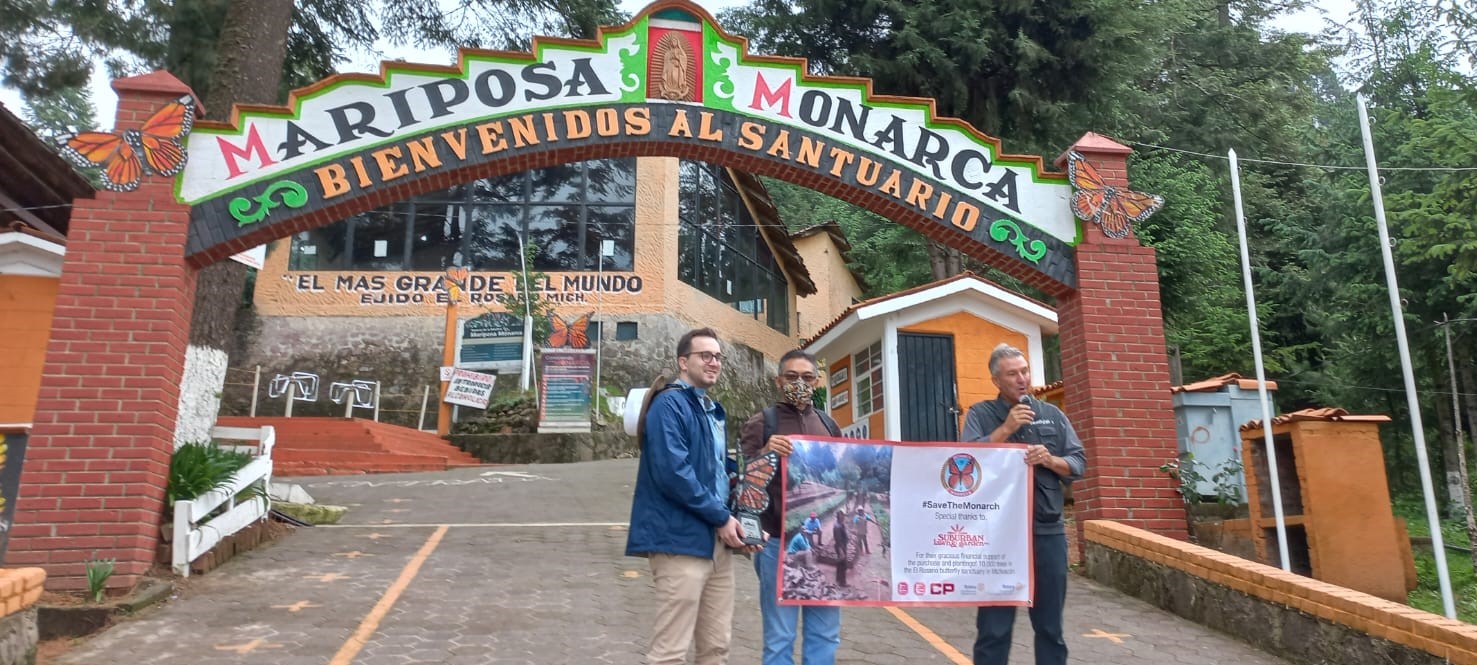Proyecto monarca2_