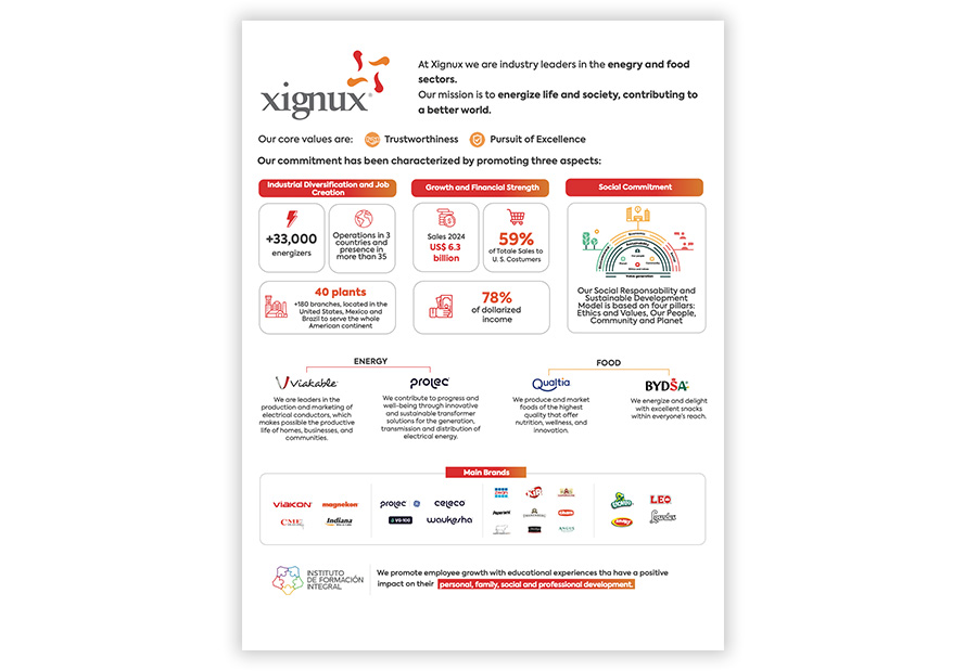 IMAGEN-esp-one-pager-131025-ING